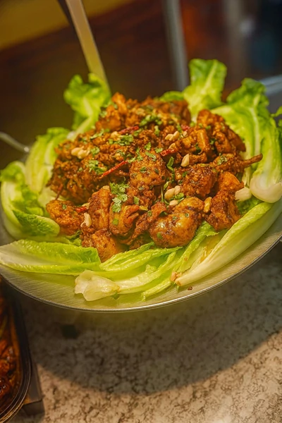 South Indian food at AHA Indian Cuisine